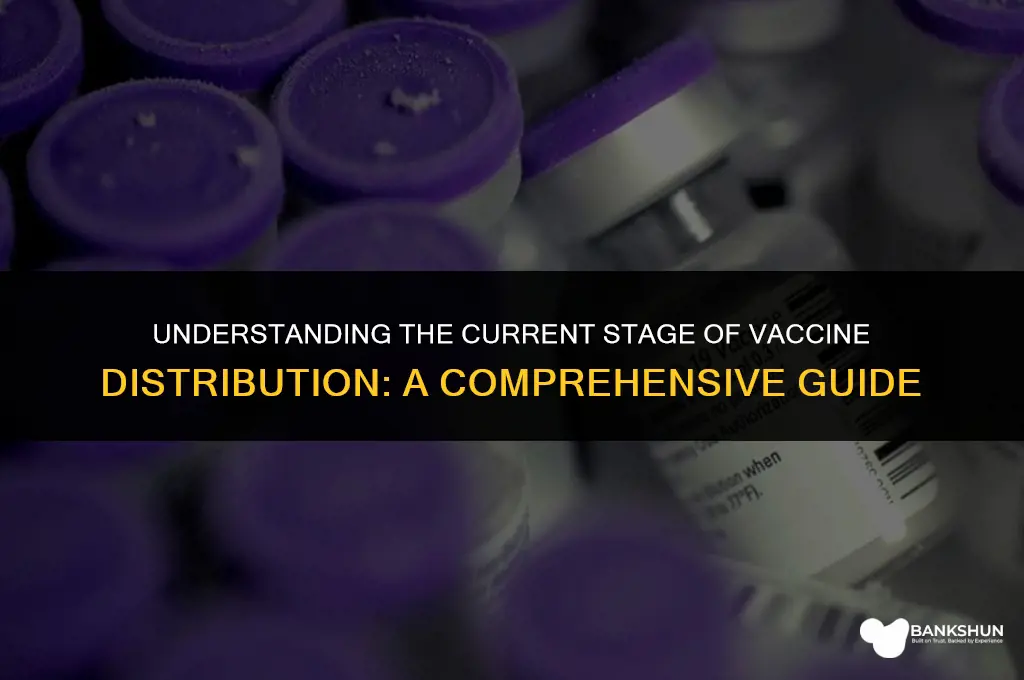 what vaccine rollout phase are we in