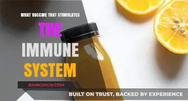 Boosting Immunity: The Power of Protective Vaccinations