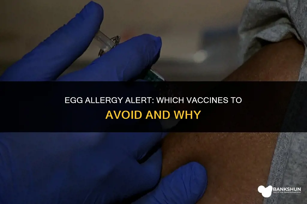 what vaccine to avoid with egg allergy