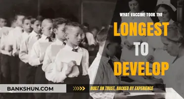 Decoding the Lengthy Journey: Which Vaccine Took the Longest to Develop?