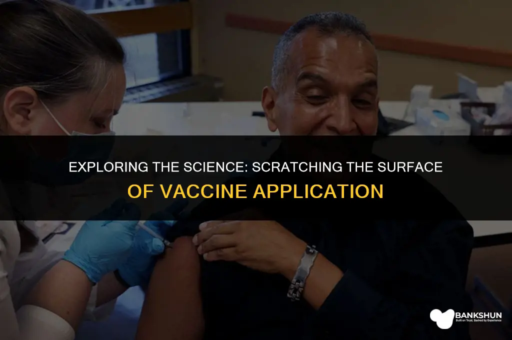 what vaccine was applied epidermis by scratching
