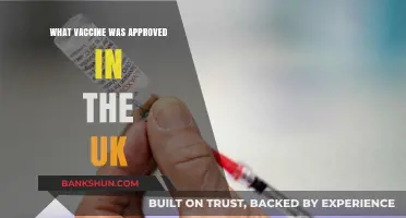 UK Approves New Vaccine: A Breakthrough in Public Health