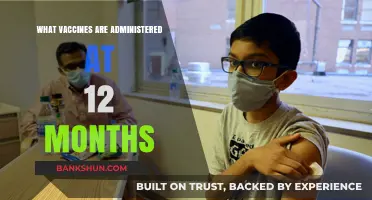 Essential Vaccines for Your Child's First Year: A Guide