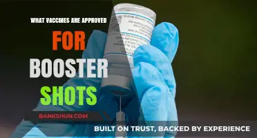Boosting Immunity: Approved Vaccines for Extra Protection