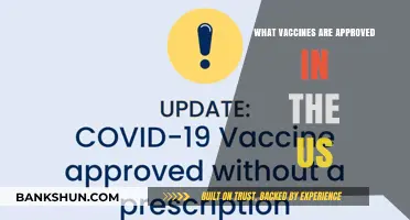 US-Approved Vaccines: A Comprehensive Guide to Immunization Options