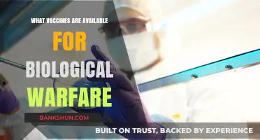 Exploring the Arsenal: Vaccines Against Biological Warfare Threats