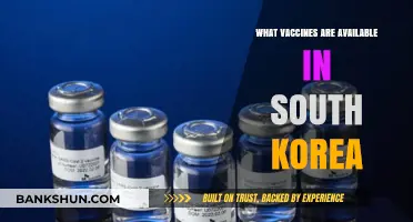 Exploring Vaccine Options Available in South Korea: A Comprehensive Guide