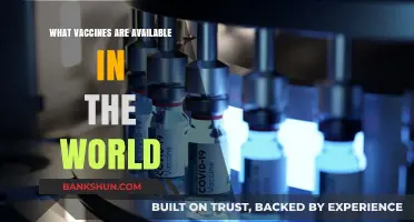 Exploring Global Vaccine Options: A Comprehensive Overview