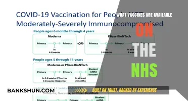 Exploring the Range of Vaccines Offered by the NHS