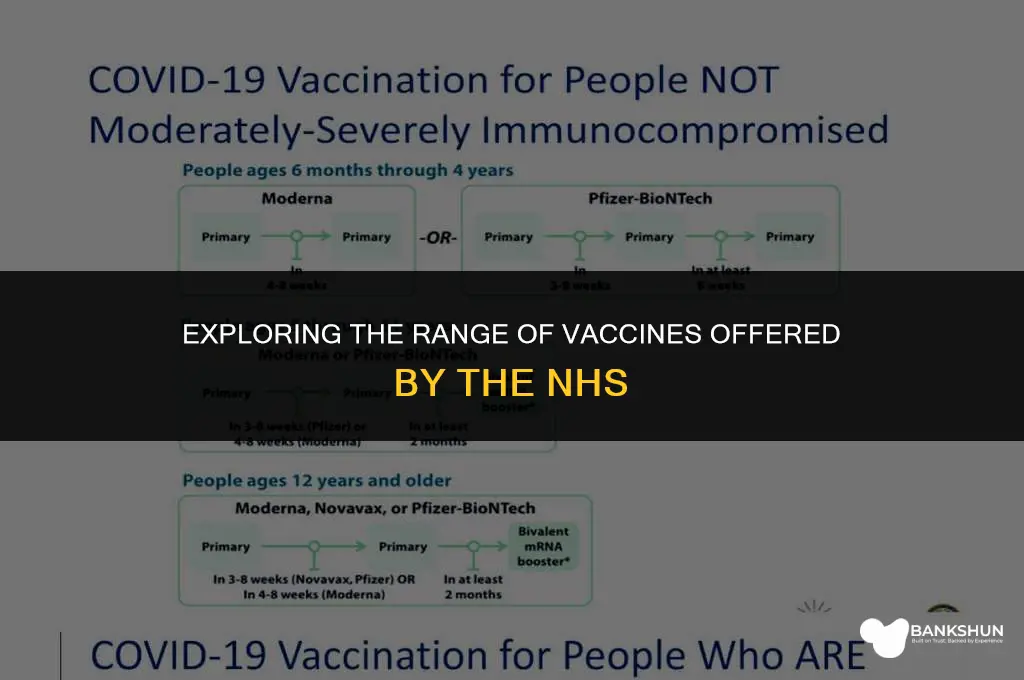 what vaccines are available on the nhs