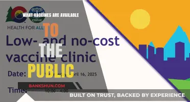 Exploring Publicly Available Vaccines: A Comprehensive Guide