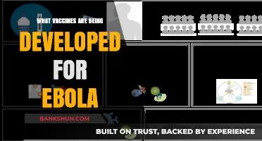 Advancements in Ebola Vaccines: A Comprehensive Overview
