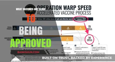 Breakthroughs on the Horizon: Vaccines Nearing Approval