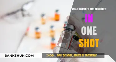 Decoding the Power of Combination Vaccines: A Shot of Protection