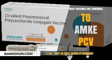 Decoding PCV: The Vaccine Blend Protecting Against Pneumococcal Disease