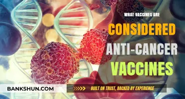 Exploring the Role of Vaccines in Cancer Prevention and Treatment