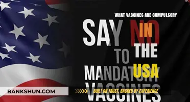 Essential Vaccinations: A Guide to Mandatory Immunizations in the USA
