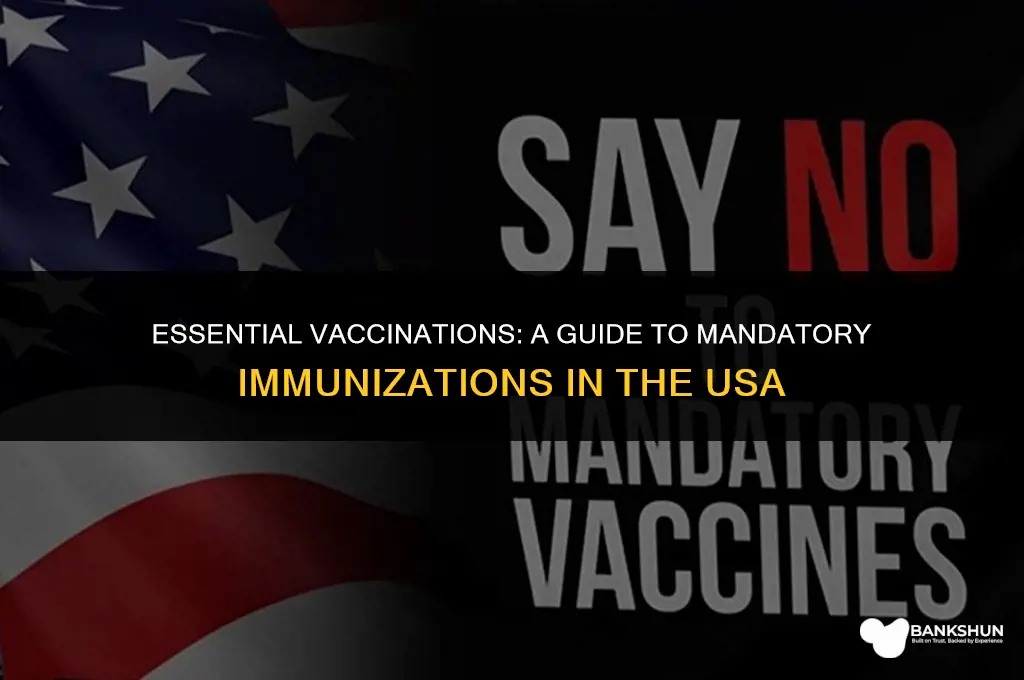 what vaccines are cumpulsory in the usa