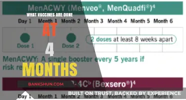 Vaccines at Four Months: Protecting Your Baby's Health