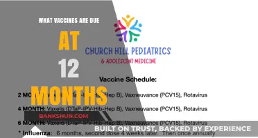 Essential Vaccines for Your Baby's First Year: A Complete Guide