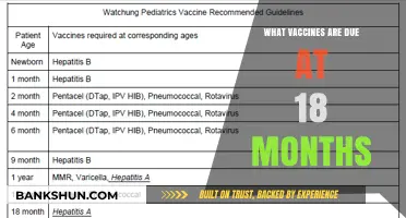 Vaccines at 18 Months: A Comprehensive Guide for Parents