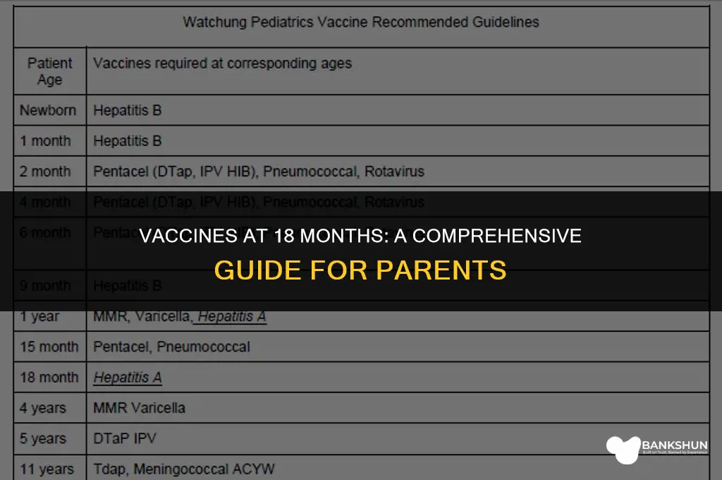 what vaccines are due at 18 months