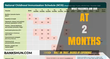 Essential Vaccinations for Your 2-Month-Old: A Complete Guide