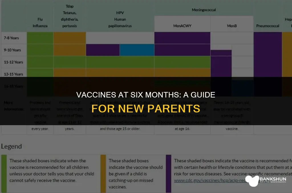 what vaccines are due at 6 months