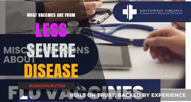 Exploring Vaccines: A Guide to Less Severe Diseases