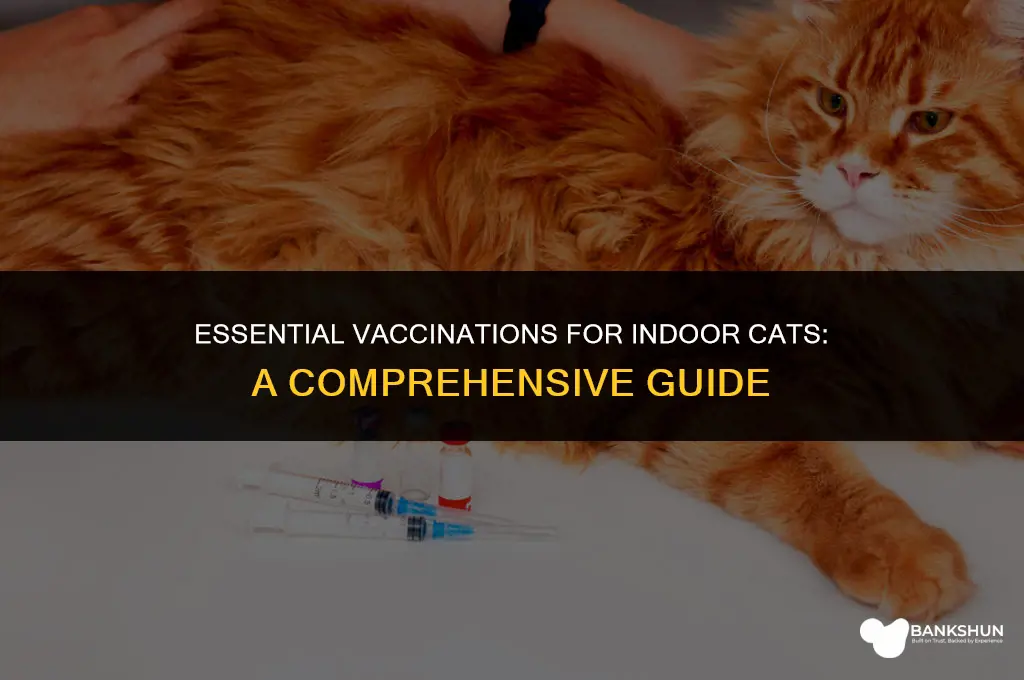 what vaccines are good for indoor cats