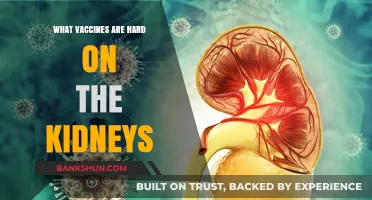 Vaccines and Kidney Health: What You Need to Know