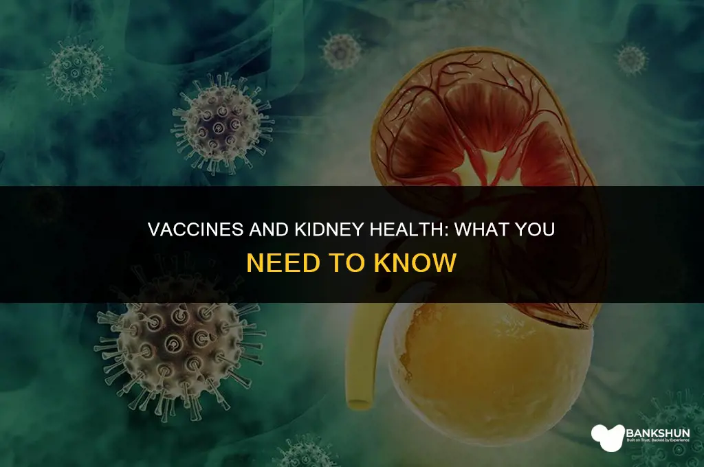 what vaccines are hard on the kidneys