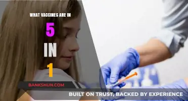 Essential Immunizations: Unpacking the 5-in-1 Vaccine for Your Child