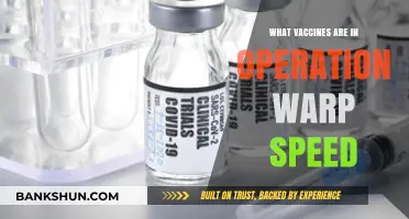 Accelerating Health: Vaccines Fast-Tracked Under Operation Warp Speed