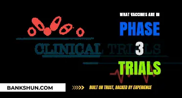 Advancements in Vaccine Development: Phase 3 Trials Overview