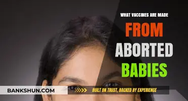 The Truth About Vaccines and Fetal Cell Lines: A Comprehensive Guide