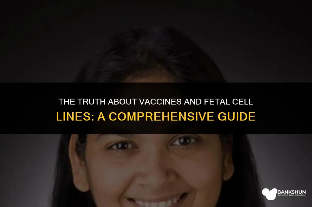 what vaccines are made from aborted babies