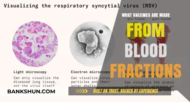 Exploring Vaccines: The Role of Blood Fractions in Immunization