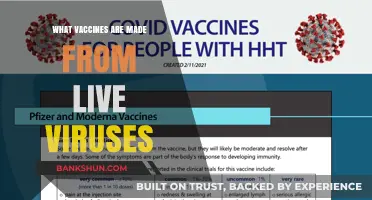 Understanding Vaccines: The Role of Live Viruses in Immunization