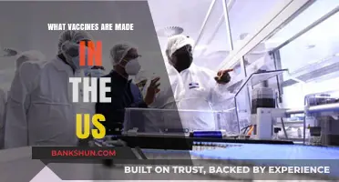 Exploring the Landscape of Vaccine Manufacturing in the United States