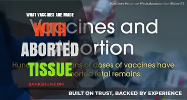 Exploring the Science: Vaccines and Aborted Tissue Research