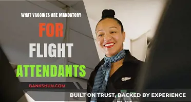 Essential Vaccinations for Flight Attendants: A Comprehensive Guide