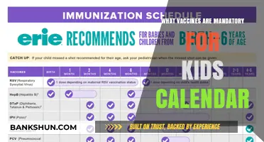 Essential Immunizations: A Monthly Guide for Childhood Vaccines