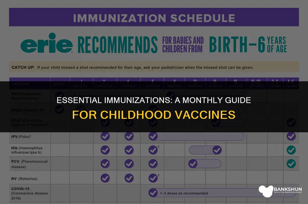 what vaccines are mandatory for kids calendar