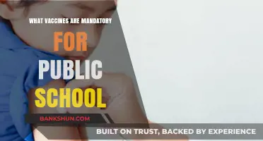 Essential Vaccinations for Public School Enrollment: A Comprehensive Guide