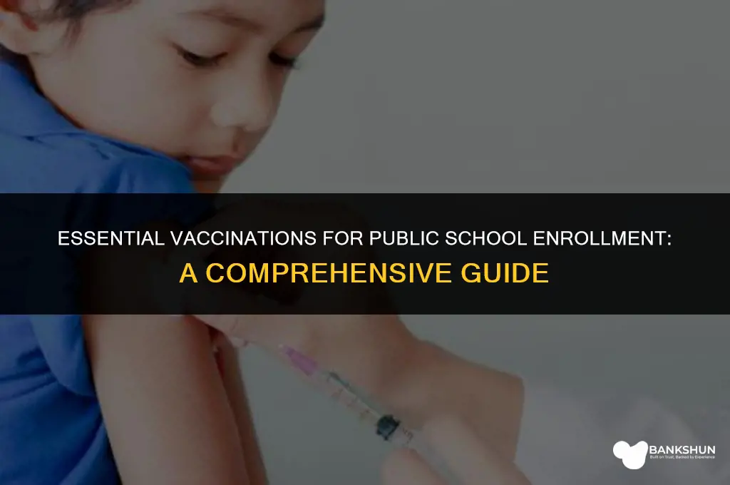 what vaccines are mandatory for public school