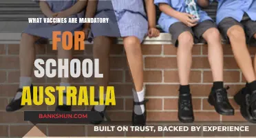 Essential Vaccines for Australian School Entry: A Complete Guide