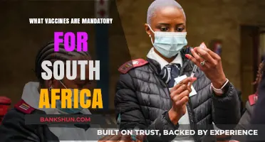 Essential Vaccinations for South Africa: A Comprehensive Guide
