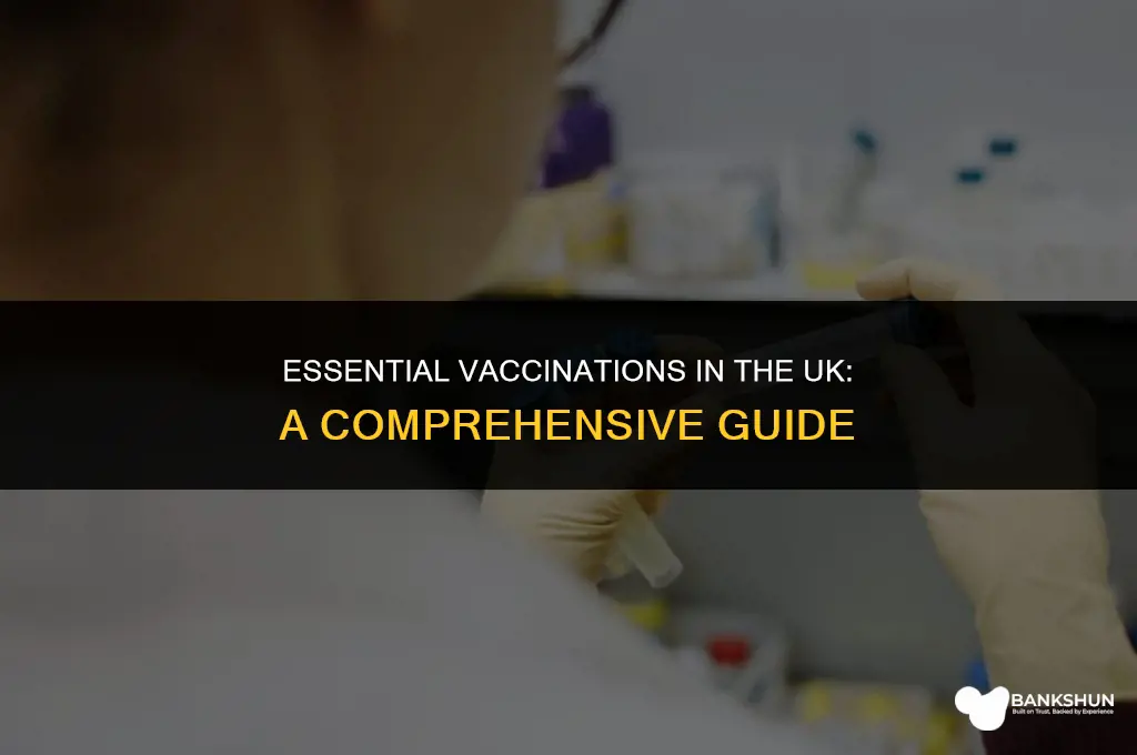 what vaccines are mandatory in the uk