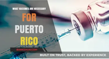 Essential Vaccines for Puerto Rico: A Comprehensive Guide